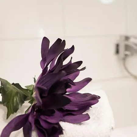 Appartement Alpenresorts